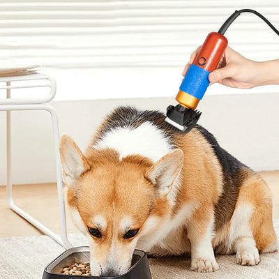 Technology For Your Pet