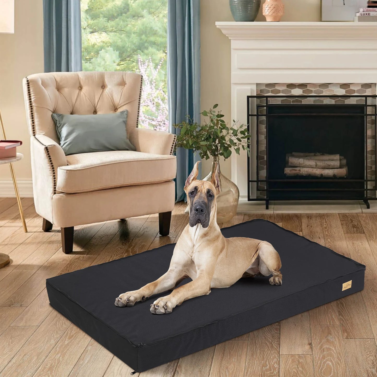 Dog Beds for Large Dogs
