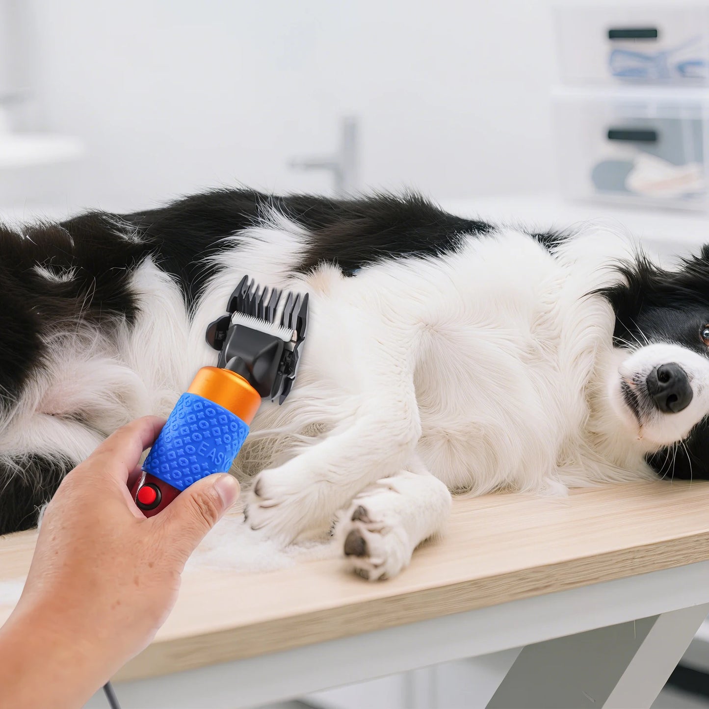 Animal Grooming Shearing Clipper