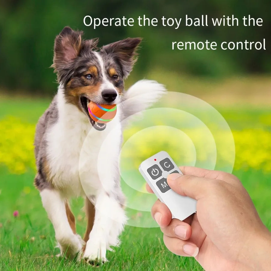 Interactive Pet Chew Toy Ball