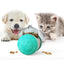Portable Pet Chew Toy