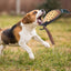Mulipurpose Pet Dead Fowl Fetch
