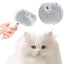 3 in 1 Cat Steam Brush Pet Spray