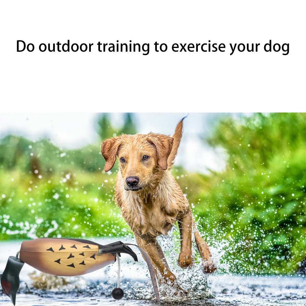 Mulipurpose Pet Dead Fowl Fetch