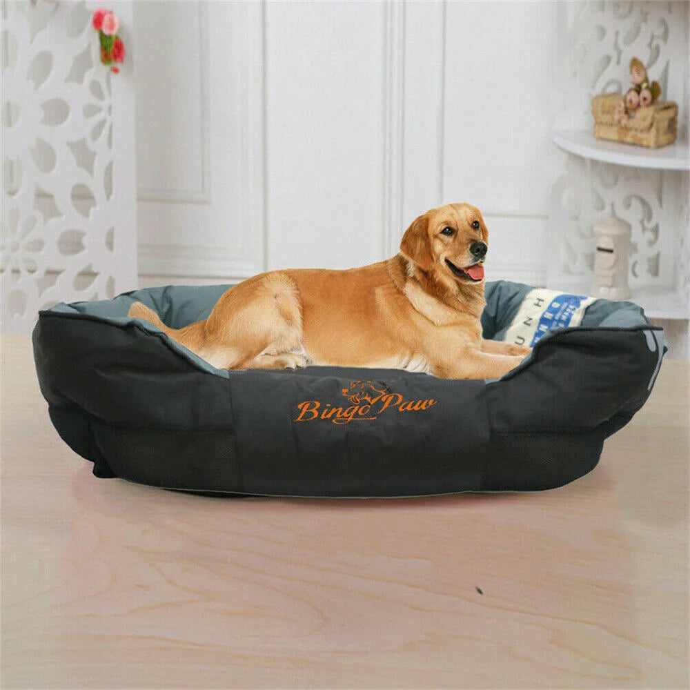 Orthopedic Dog Bed