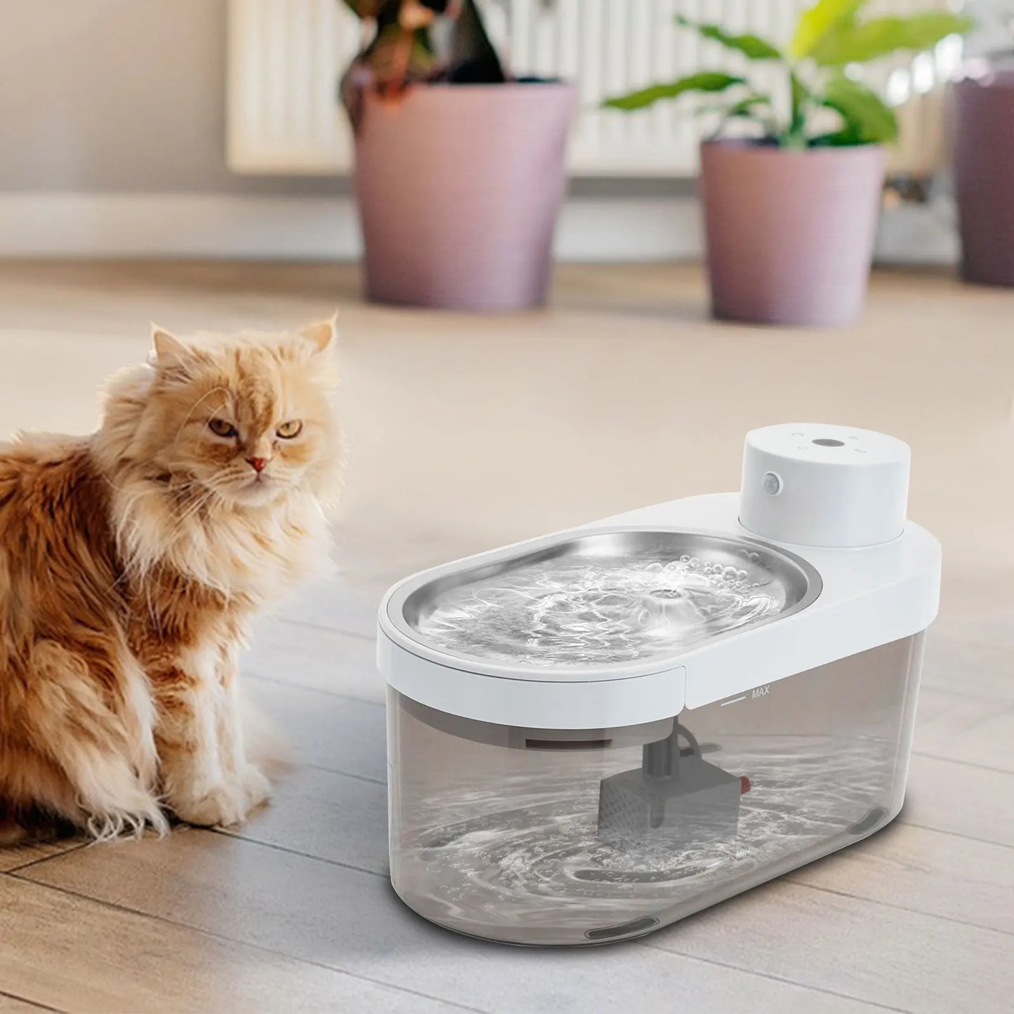 White Pet Water Dispenser