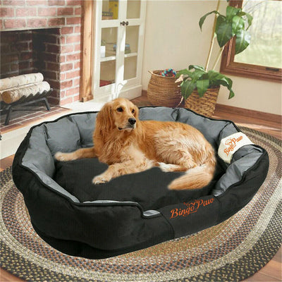 Orthopedic Dog Bed