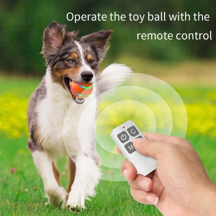 Interactive Pet Chew Toy Ball