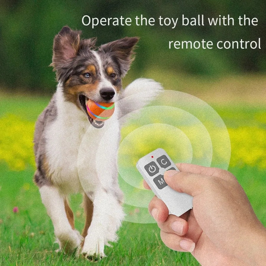 Interactive Pet Chew Toy Ball