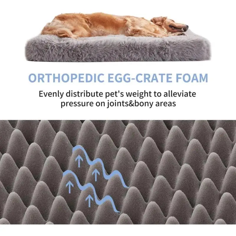 Dog Beds for Large Dogs