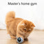 LED Automatic Cat Toys Electric Motion