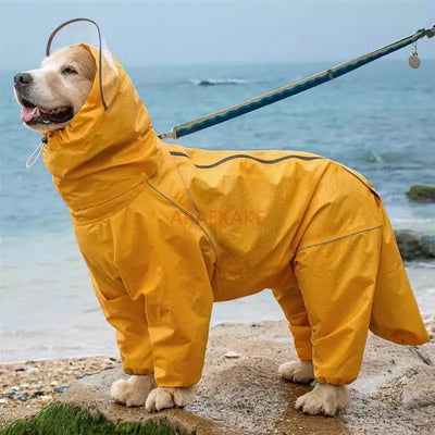 Raincoat for dogs