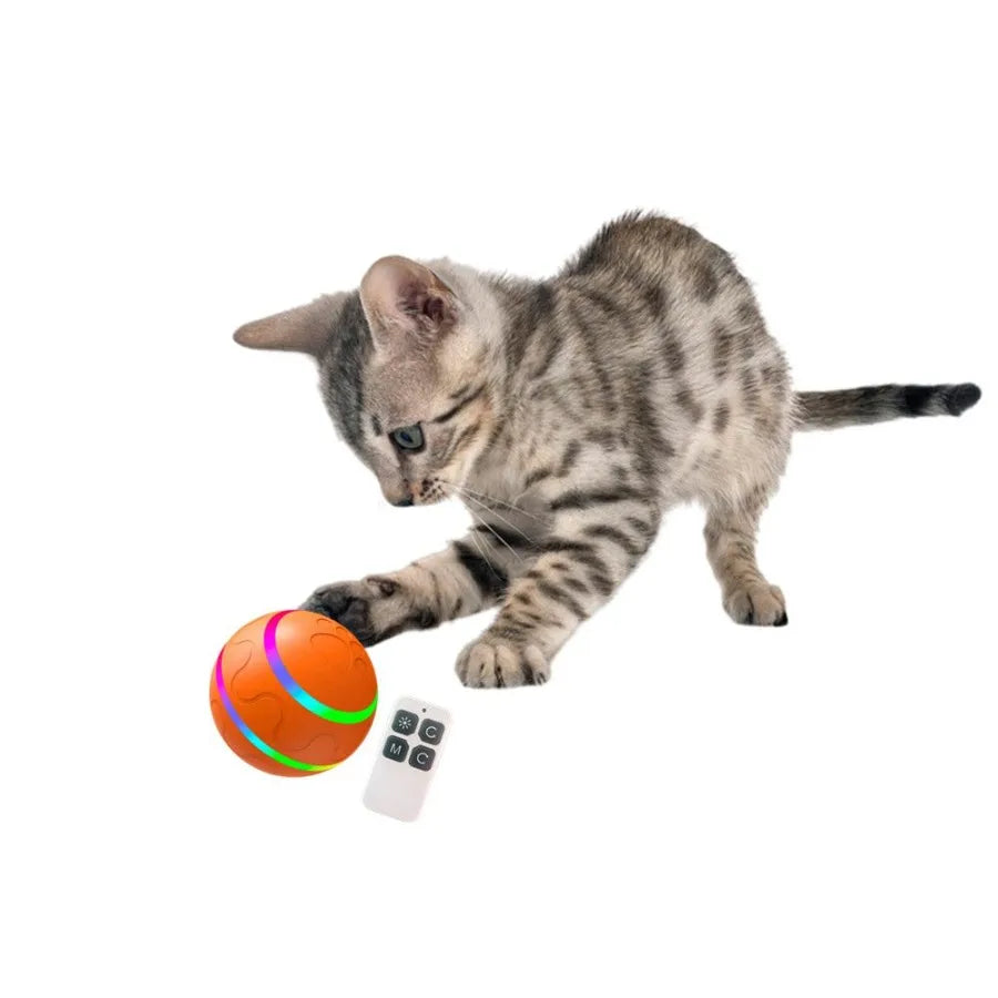 Interactive Pet Chew Toy Ball