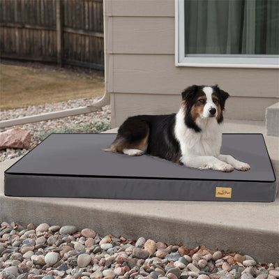 Large Orthopaedic Dog Bed