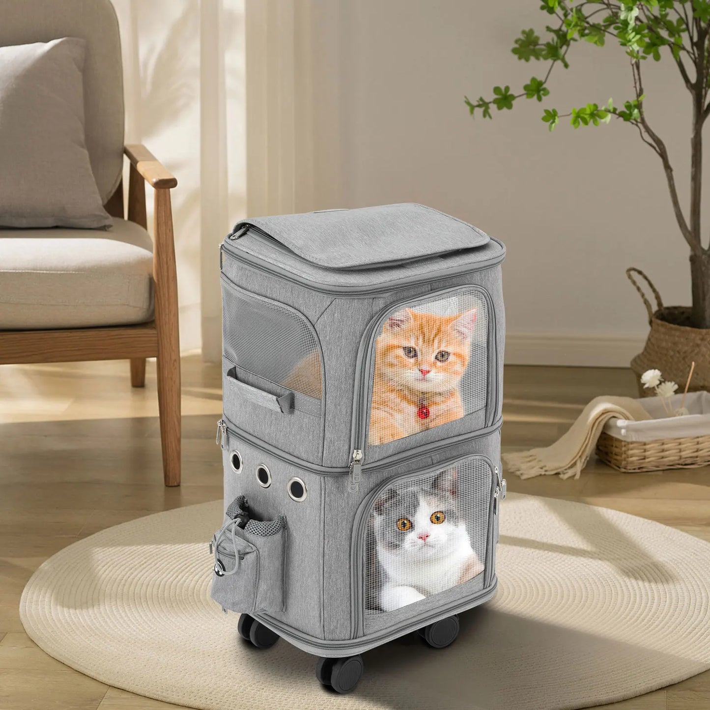 Double-Compartment Pet